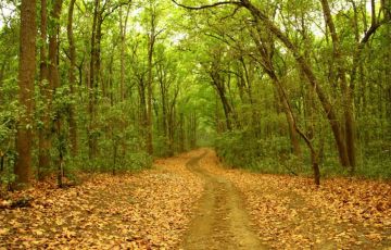 Amazing 3 Days 2 Nights Delhi Vacation Package