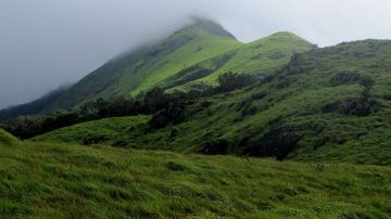 4 Days Calicut to Wayanad Holiday Package