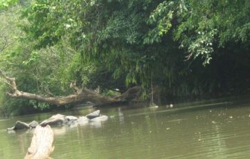 4 Days Calicut to Wayanad Holiday Package 4 Days Calicut to Wayanad Holiday Package