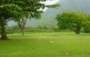 Ecstatic 10 Days 09 Nights Kumarkom Tour Package