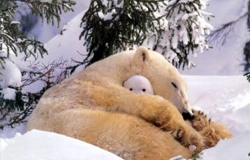 16 Days 15 Nights Delhi Tour Package