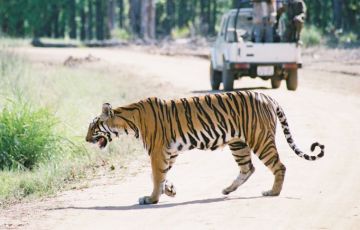 Amazing 15 Days 14 Nights Jaipur Holiday Package