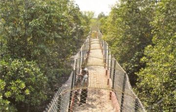 14 Days 13 Nights Delhi, Kaziranga National Park, Kalimpong, Kolkata with Sandarbans Vacation Package