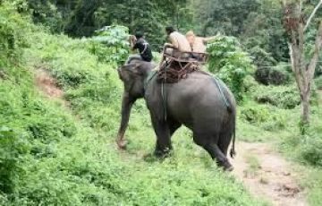 Pleasurable 6 Days 5 Nights Chiang Mai with Bangkok Holiday Package