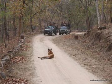 Family Getaway 3 Days 2 Nights Pench Holiday Package