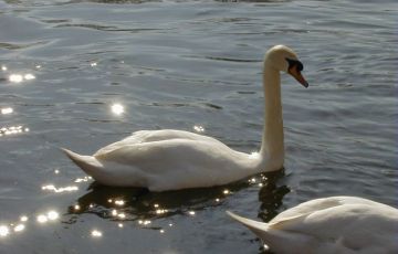 Beautiful 3 Days 2 Nights Ranthambore Holiday Package