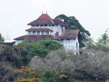 Heart-warming 4 Days 3 Nights Colombo and Kandy Tour Package