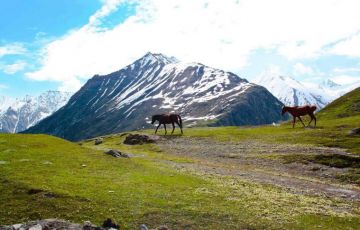 Memorable 5 Days 4 Nights Gulmarg Holiday Package