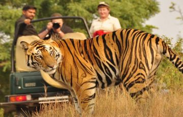 Ecstatic 14 Days 13 Nights Jhansi Trip Package