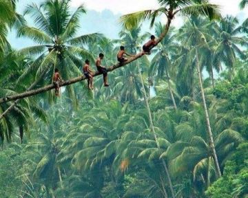 Ecstatic 5 Days 4 Nights Cochin Tour Package