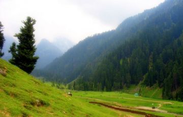 Heart-warming 8 Days 7 Nights Srinagar, Pahalgam, Gulmarg with Katra Trip Package