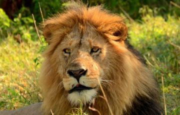 Family Getaway 7 Days 6 Nights Aberdares Holiday Package