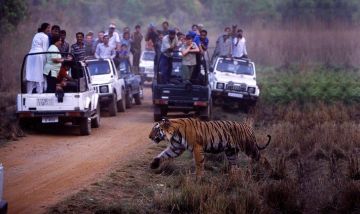 Family Getaway 5 Days 4 Nights Bharatpur with Ranthambore Trip Package