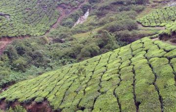 Magical 6 Days 5 Nights Punakha Tour Package