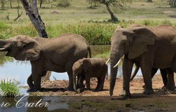 Magical 13 Days 12 Nights Tanzania Arusha and Zanzibar Trip Package