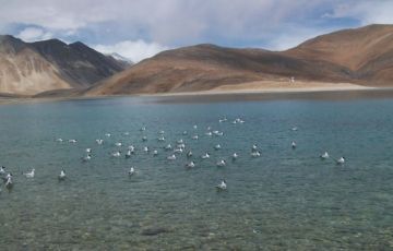 Pleasurable 5 Days 4 Nights Leh Holiday Package