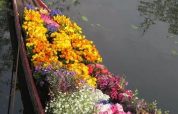 Beautiful 7 Days 6 Nights Srinagar, Gulmarg and Pahalgam Trip Package