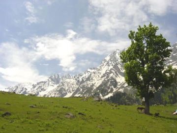 Heart-warming 6 Days 5 Nights Srinagar, Sonmarg, Pahalgam with Gulmarg Tour Package
