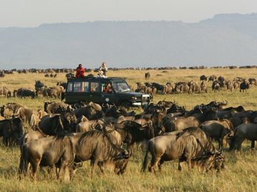 Amazing 3 Days 2 Nights Maasai Mara Tour Package