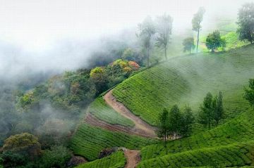 Memorable Munnar Tour Package for 3 Days 2 Nights