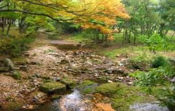 Experience 10 Days 9 Nights Delhi Holiday Package