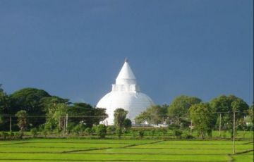 Memorable 7 Days 6 Nights Yala Trip Package