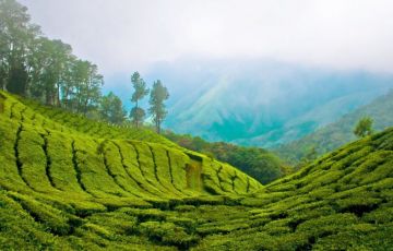 Beautiful 14 Days 13 Nights Chennai, Kanchipuram, Mahabalipuram, Pondicherry, Thanjavur, Trichy, Madurai, Rameshwaram with Madurai Vacation Package
