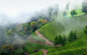 Amazing 5 Days 4 Nights Cochin Tour Package