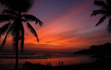 Kovalam, Kumarakom, Houseboat, Thekkady, Munnar and Cochin Tour Package for 8 Days 7 Nights from Trivandrum