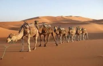 Beautiful 21 Days 20 Nights Bundi Tour Package