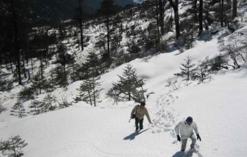 Family Getaway 7 Days 6 Nights Yumthang Tour Package