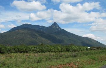 Ecstatic 6 Days 5 Nights Arusha, Mount Kilimanjaro, Manyara, Katesh with Mukru Tour Package