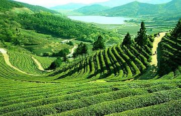 Amazing 4 Days 3 Nights Darjeeling Holiday Package
