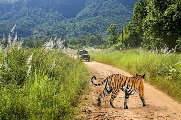 Pleasurable 4 Days 3 Nights Delhi and Corbett Holiday Package