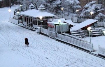 4 Days Delhi to Shimla Holiday Package