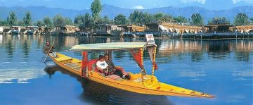Amazing Srinagar Tour Package for 2 Days 1 Night