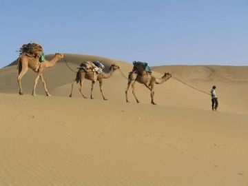 Best 6 Days 5 Nights Jaipur, Jodhpur with Jaisalmer Tour Package