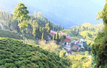 Pleasurable 11 Days 10 Nights Pelling Tour Package
