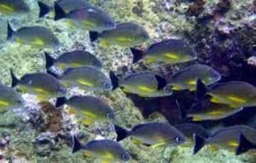 Beautiful 4 Days 3 Nights Pune and Murudeshwar Vacation Package