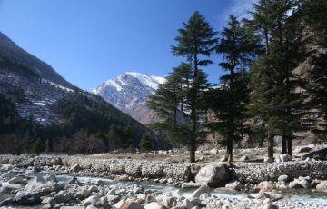 Experience 7 Days 6 Nights Rishikesh, Barkot with Harshil Holiday Package