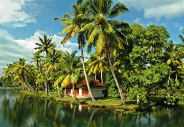 Beautiful 6 Days 5 Nights Cochin, Munnar, Thekkady, Alleppey and Kovalam Holiday Package
