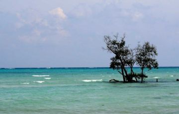Heart-warming 5 Days 4 Nights Port Blair and Havelock Islands Holiday Package
