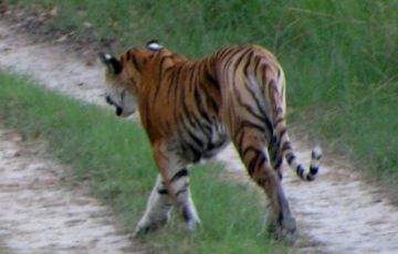 Amazing Lucknow Tour Package for 5 Days 4 Nights