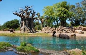 Experience 6 Days 5 Nights Nairobi Tour Package