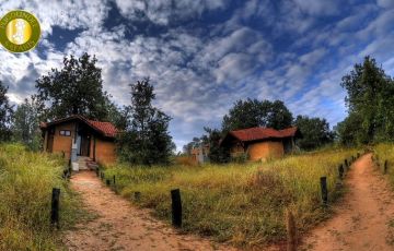 Magical One National Park of Central India Tour Package for 3 Days 2 Nights