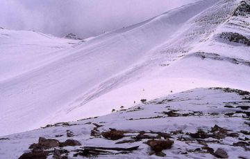 Magical 7 Days 6 Nights Yumthang Trip Package