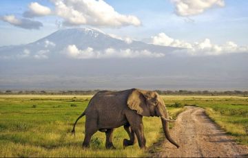 Amazing 7 Days 6 Nights Kenya Trip Package