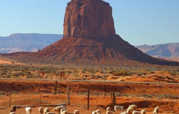 Experience 6 Days 5 Nights Bahariya Oasis Tour Package