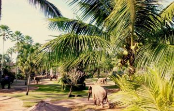 Amazing 9 Days 8 Nights Delhi, Bandhavgarh, Kanha with Nagpur Holiday Package