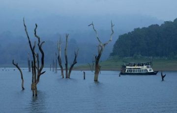 Family Getaway Munnar Tour Package for 8 Days 07 Nights